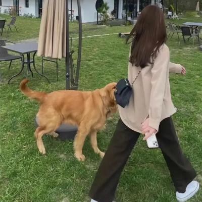 商业大时代