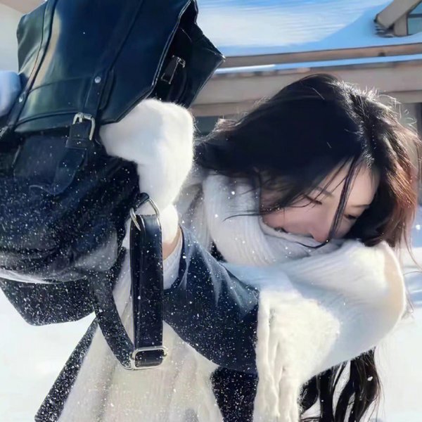 巅峰拍档第十六季